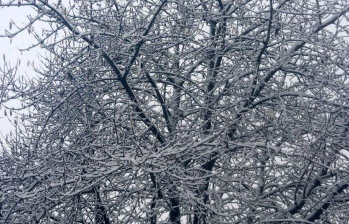 Tempesta Caetano en direct. 270 mille foyers sans électricité, 38 départements en alerte orange : la majeure partie de la journée