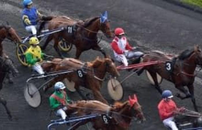 Prédictions des courses hippiques pour le samedi 23 novembre 2024