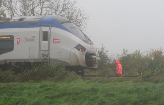 une personne percutée et tuée par le TER Poitiers-Niort