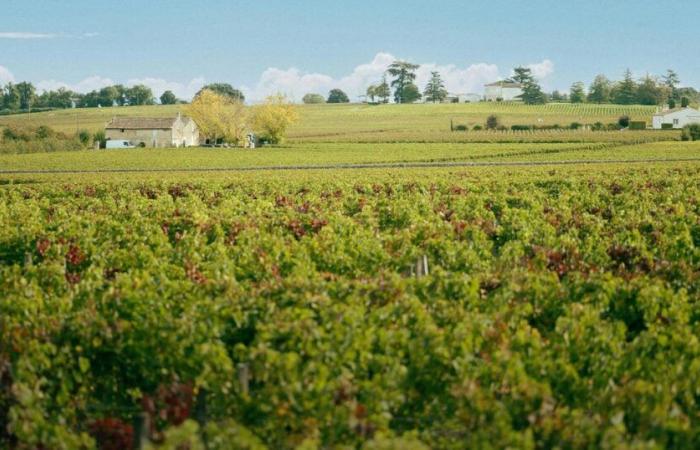 La bonne ambiance de la Gironde