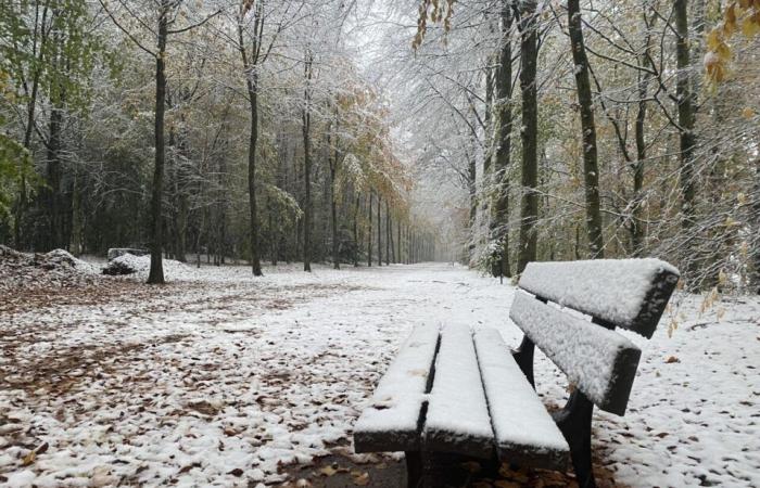 EN IMAGES. Le pays de Flers se réveille sous la neige : un décor de Noël