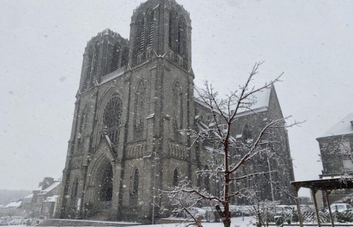 EN IMAGES. Le pays de Flers se réveille sous la neige : un décor de Noël