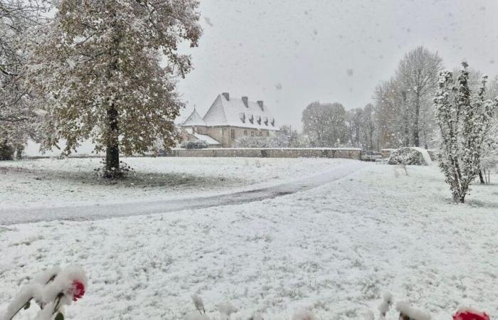 IMAGES – Vos plus belles photos de Lorraine sous la neige