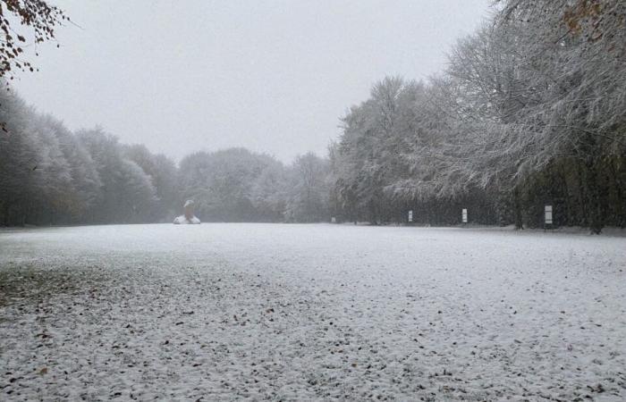 EN IMAGES. Le pays de Flers se réveille sous la neige : un décor de Noël