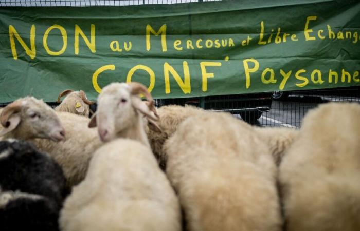 le ministre de l’Agriculture attendu dans une exploitation agricole du Pas-de-Calais