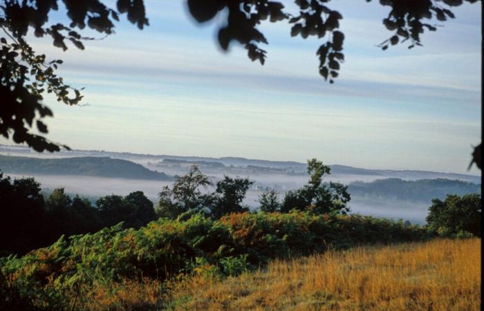 comment une zone rurale sous-développée a décollé