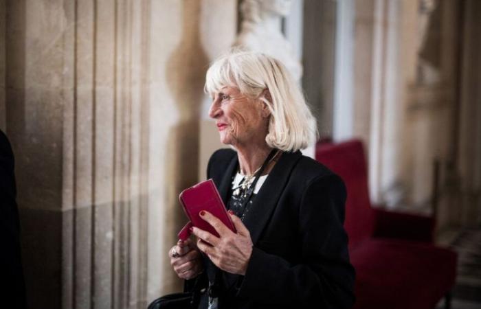 “J’ai déposé treize plaintes”, la députée du Pas-de-Calais Christine Engrand brise le silence au conseil régional