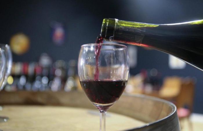 notre sélection de huit bouteilles de ce célèbre vin rouge qui se réinvente