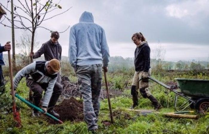 la réforme du RSA fragilise les agriculteurs