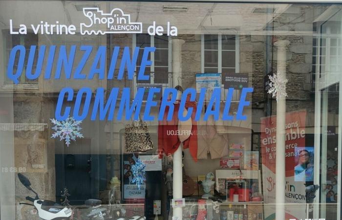 Envie de gagner des milliers d’euros ? Estimer le prix de cette vitrine à Alençon