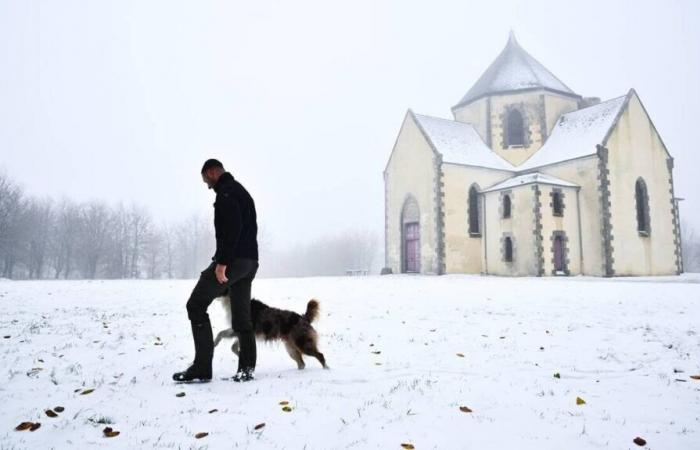 EN IMAGES. Découvrez nos 10 photos des Côtes-d’Armor sous la neige ce jeudi matin