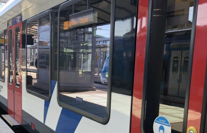 le trafic ferroviaire sera fortement perturbé du 22 au 25 novembre