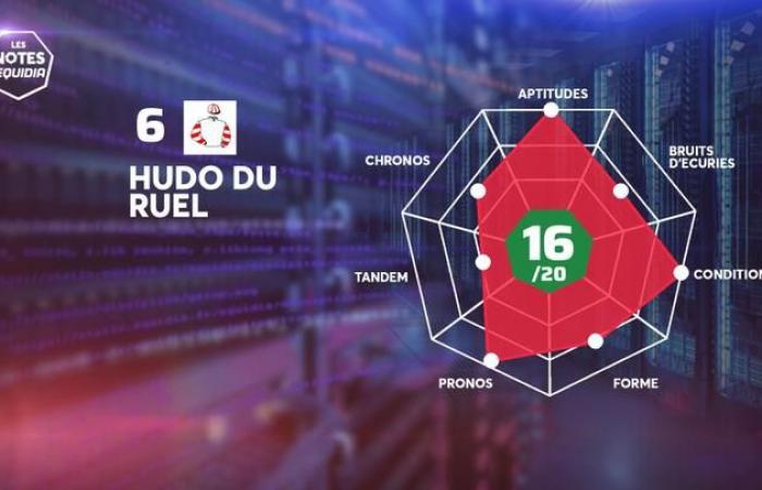 Les notes des partants du Quinté+ de ce jeudi 21 novembre