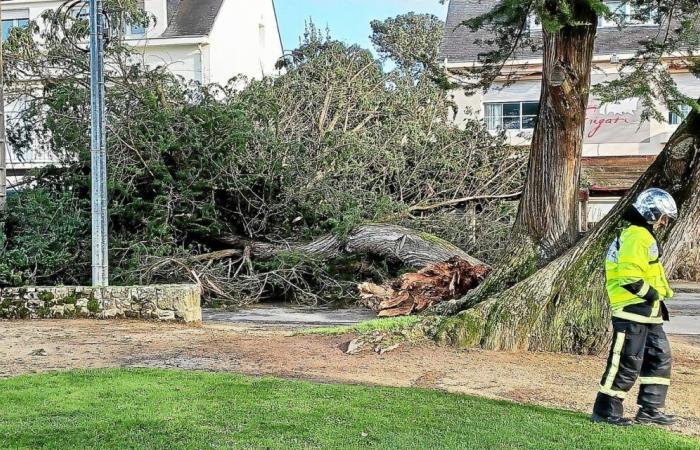 Inondations, arbres arrachés, lignes électriques arrachées… La tempête fait de nombreux dégâts à Carnac