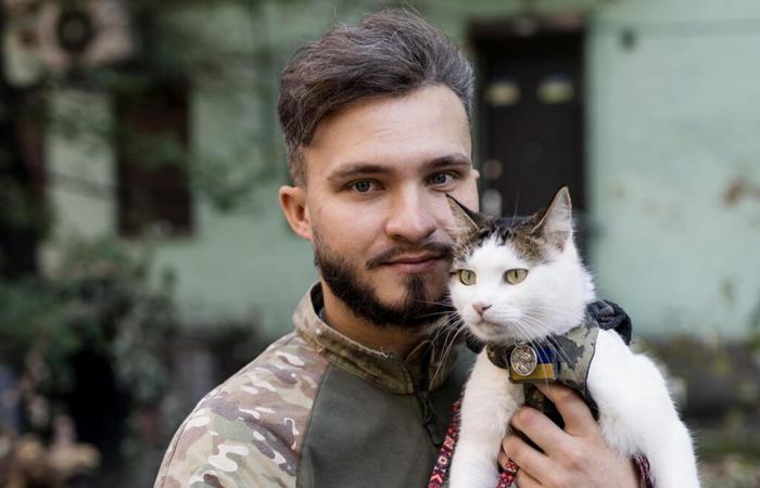 En Ukraine, les chats et les chiens sont de fidèles compagnons d’armes