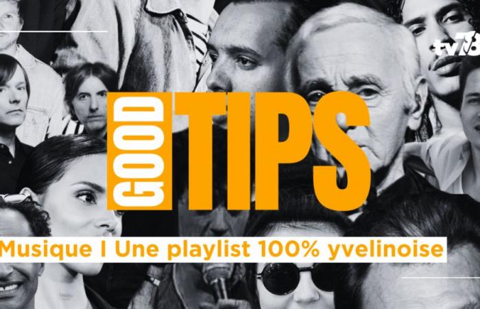 La playlist des Yvelines I Aznavour, Hoshi, Phoenix, La Fouine et les autres