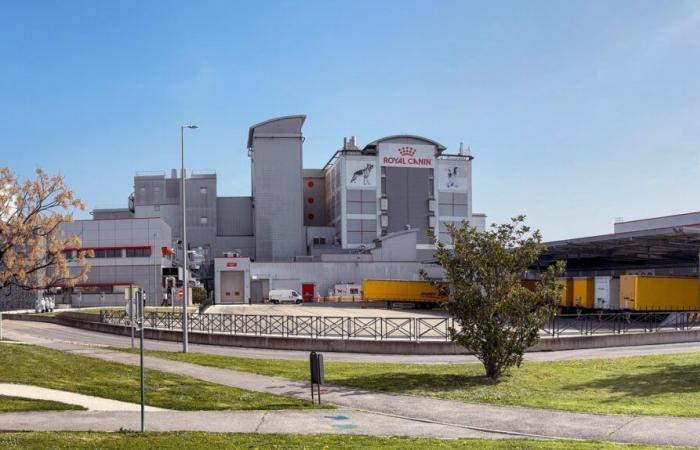 EXCLUSIF Plan de Sauvegarde de l’Emploi (PSE) chez Royal Canin à Aimargues