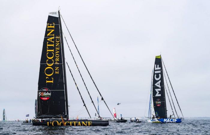 la carte en direct et le classement des skippers