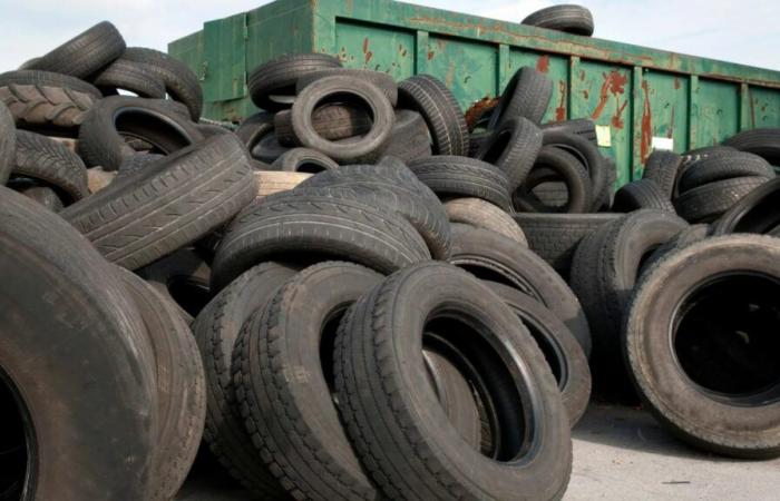 24 TONNES DE PNEUS USAGÉS DESTINÉS ILLÉGALEMENT AU SÉNÉGAL SAISIES À LIVOURNE, ITALIE