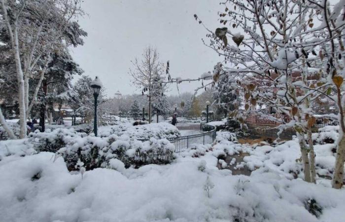 EN IMAGES. De Meaux à Disneyland Paris, les plus belles photos de neige en Seine-et-Marne