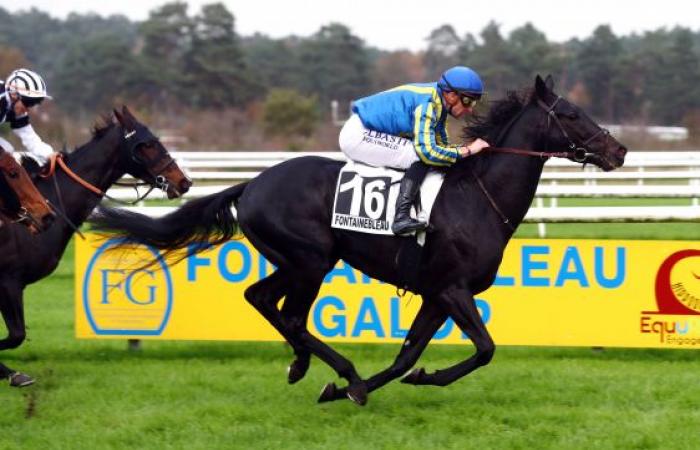 Prix ​​Seine-et-Marne, GANASS domine ses aînés dans le Quinté du jour