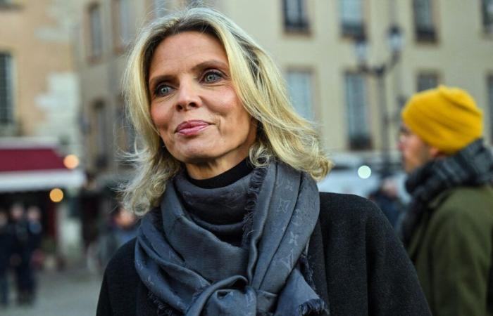 «Un p***», Sylvie Tellier, dérapage chez Laurent Ruquier, l’animateur obligé de recadrer