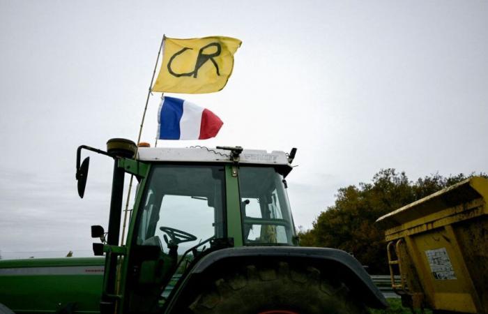 au Pays Basque, la Coordination Rurale déverse des tonnes de déchets et de lisiers devant deux magasins de grande distribution