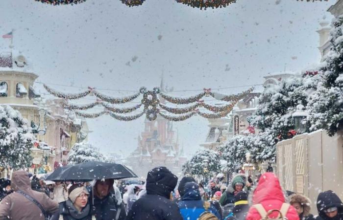 EN IMAGES. De Meaux à Disneyland Paris, les plus belles photos de neige en Seine-et-Marne