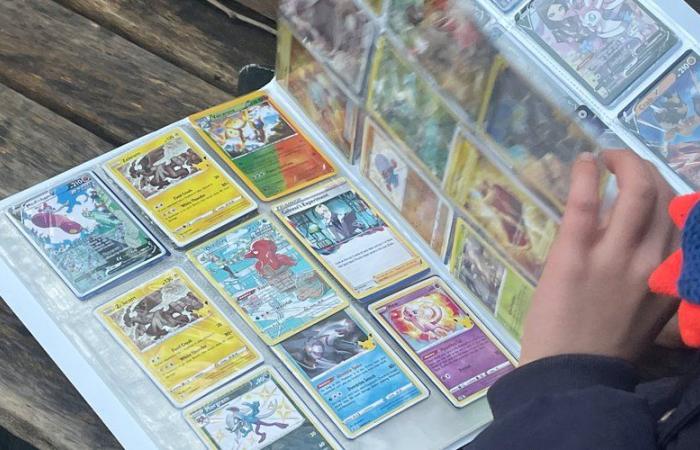 en rénovant sa maison, elle a découvert des centaines de cartes Pokémon rares