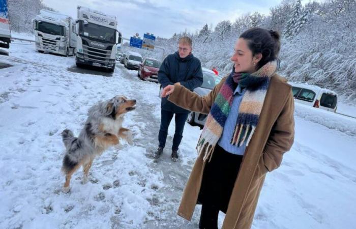 2 000 à 2 500 camions bloqués sur l’A36, APRR accuse les poids lourds