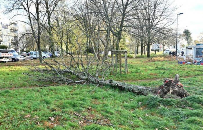 Après la neige et les rafales de vent, attention au verglas sur les routes d’Indre-et-Loire