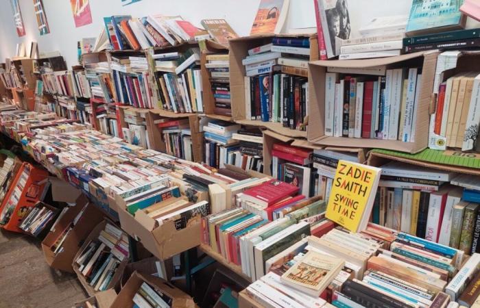 Bonnes affaires. Des livres en vente à moins d’un euro dans le Tarn-et-Garonne ce week-end