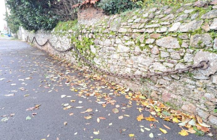 «Quand on n’y va pas, ça nous manque»