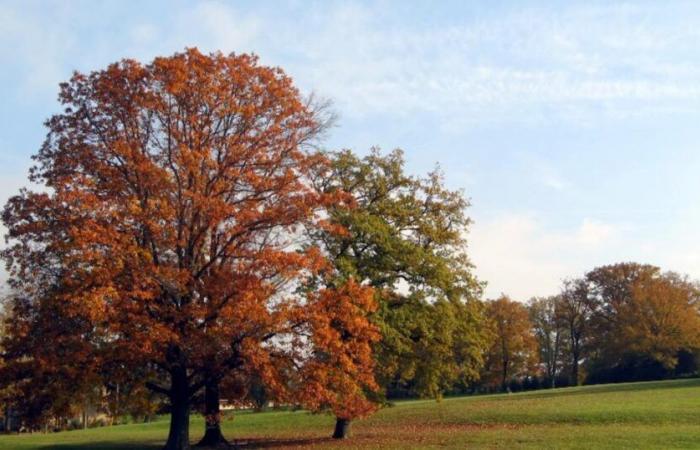 Hausse spectaculaire des températures : +13°C dès dimanche après-midi