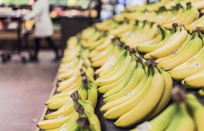 pourquoi le prix des bananes est susceptible d’augmenter