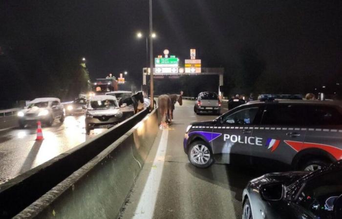 chevaux dans le tunnel de la Grand Mare, circulation perturbée