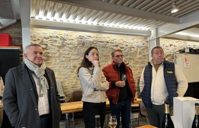 L’eurodéputée Chloé Ridel sur le domaine du vin – Actualités