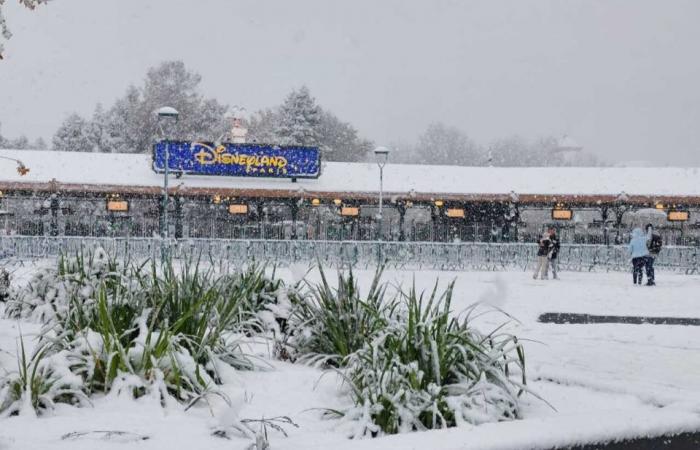 EN IMAGES. De Meaux à Disneyland Paris, les plus belles photos de neige en Seine-et-Marne