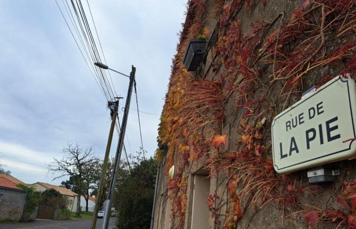 «Quand on n’y va pas, ça nous manque»