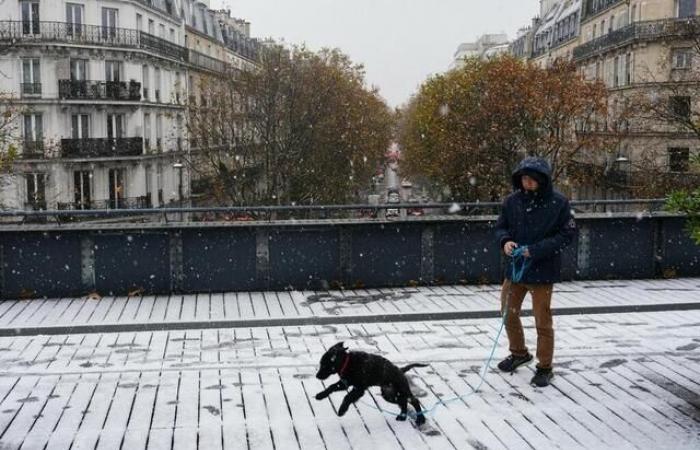 EN IMAGES. Rennes, Paris, Strasbourg… La moitié de la France sous la neige après la tempête