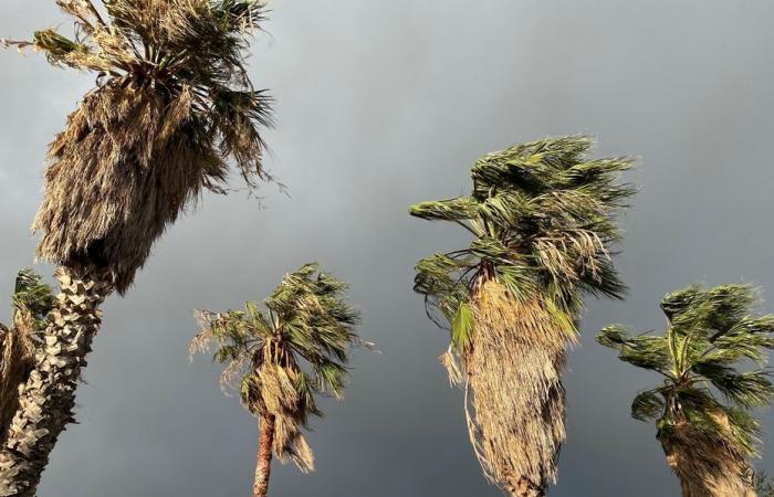 La Corse en orange ce vendredi matin pour le paramètre « vent », retour à la normale en journée