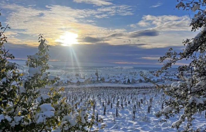 fortes gelées pendant la nuit, où a-t-il fait le plus froid ?