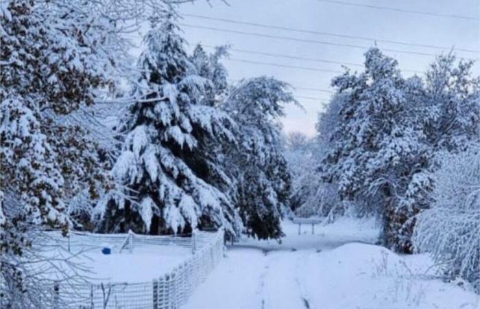 après le vent et la neige, des maisons sans électricité