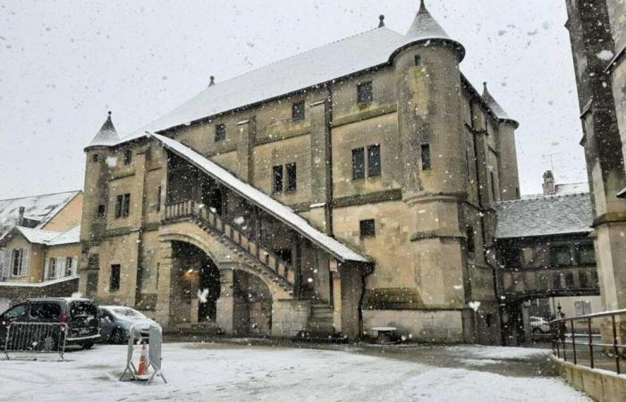 EN IMAGES. De Meaux à Disneyland Paris, les plus belles photos de neige en Seine-et-Marne