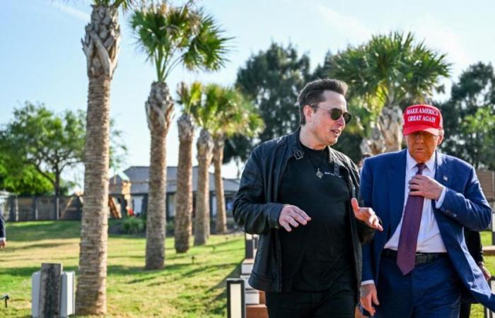 Comment Elon Musk va utiliser l’IA pour « dégraisser le mammouth américain »