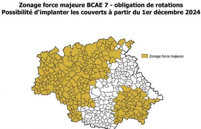 Dérogation exceptionnelle pour la couverture des sols agricoles en 2024