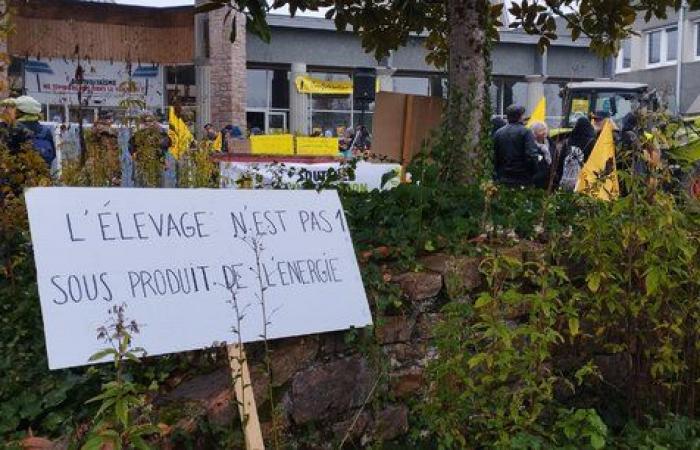 En Corrèze, l’agrivoltaïsme fait des étincelles