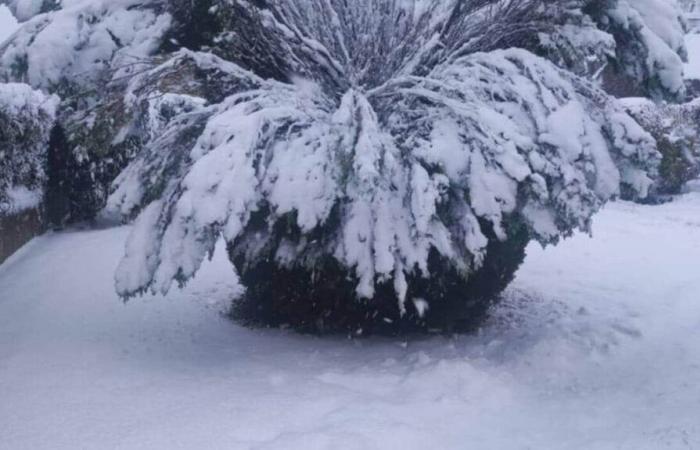 après la neige, de nombreux habitants privés de chauffage dans l’Orne