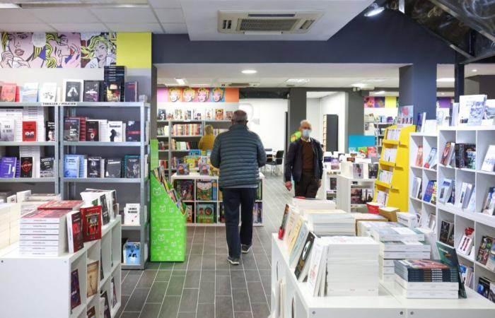 80 bookstores boycott books from “Vincent Bolloré’s empire”