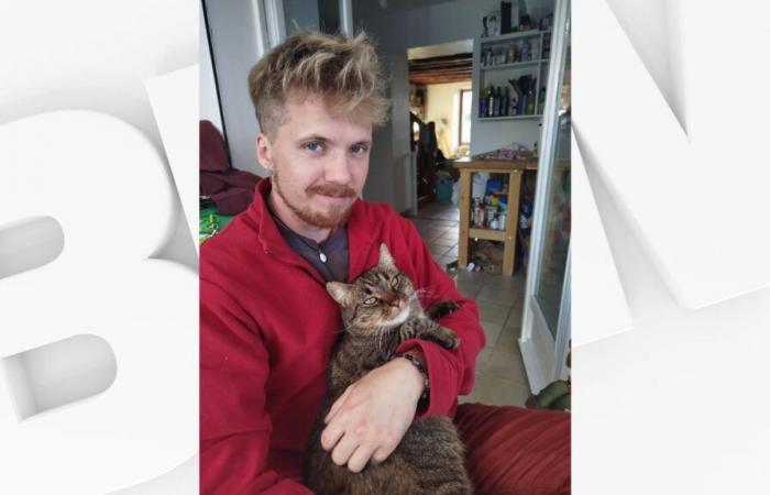 dans le Briançonnais, un homme retrouve son chat un an après l’avoir perdu